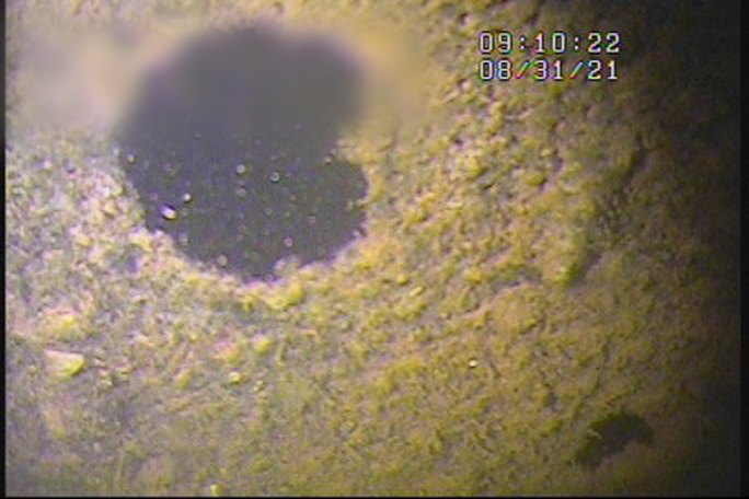 Competitor camera frame of biofouling around exposed voids