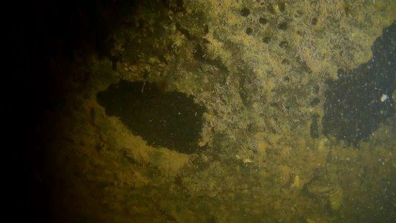 Reach DDCS frame of biofouling around exposed voids with a readable boundary