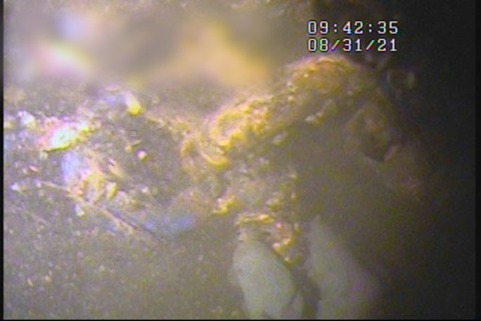 Competitor camera frame of chain and shackle under growth